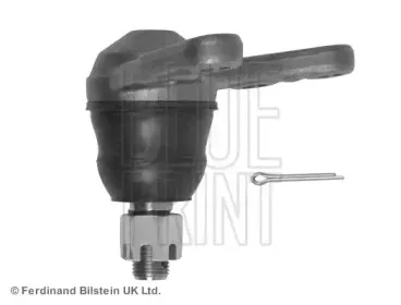 blueprint-adm58613