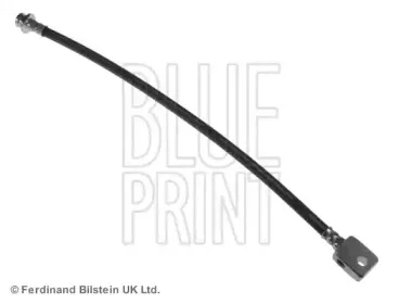 ADN153113 BLUE PRINT