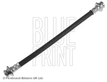 ADN153123 BLUE PRINT