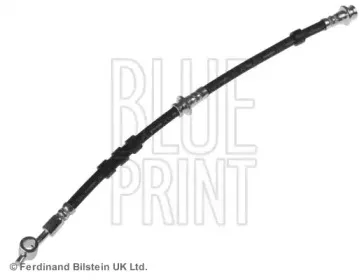 blueprint-adn153137