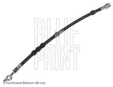 blueprint-adn153138