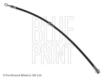 ADN153139 BLUE PRINT