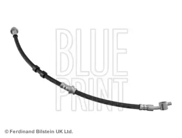 blueprint-adn153143