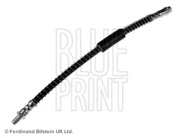 ADN153148 BLUE PRINT
