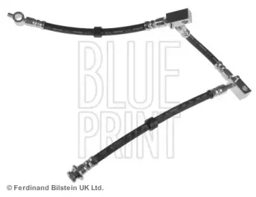 ADN153161 BLUE PRINT