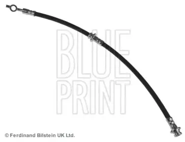 ADN153181 BLUE PRINT