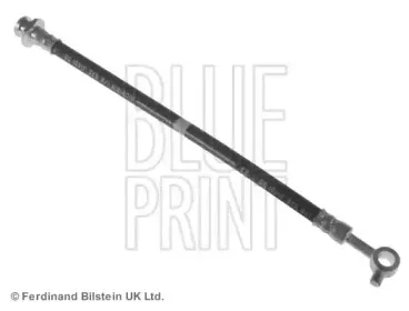 ADN153184 BLUE PRINT