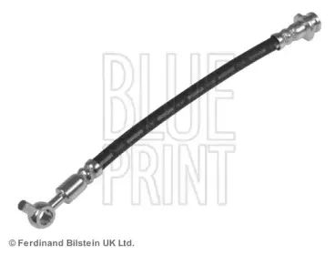 ADN153187 BLUE PRINT