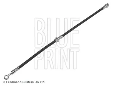 ADN153189 BLUE PRINT