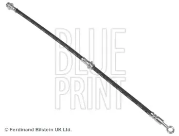 ADN153190 BLUE PRINT