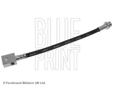 ADN153195 BLUE PRINT