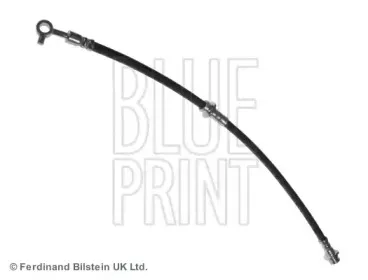 ADN153196 BLUE PRINT