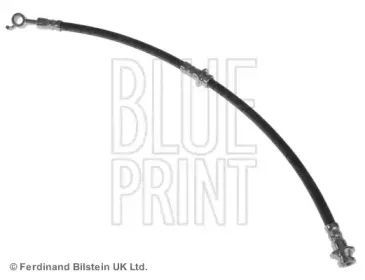 blueprint-adn153241