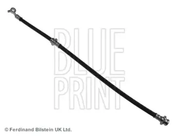 blueprint-adn15355