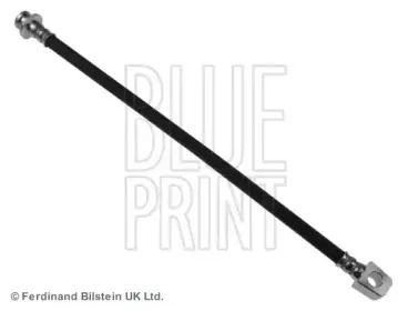 blueprint-adn15365