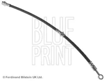 ADN15393 BLUE PRINT