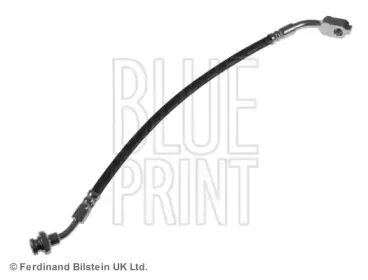 ADN15399 BLUE PRINT