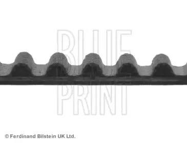 blueprint-adn17514