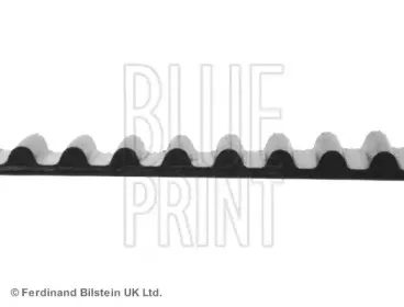 blueprint-adn17519