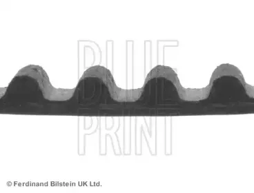 blueprint-adn17538