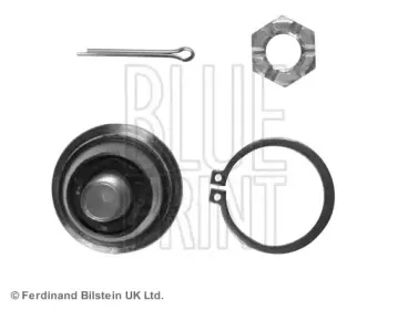 blueprint-adn18631