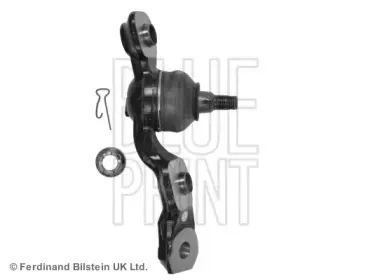 blueprint-adt386138