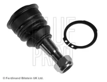 blueprint-adt386191