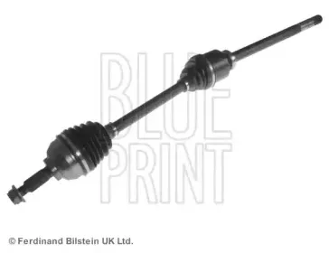 blueprint-adz989504