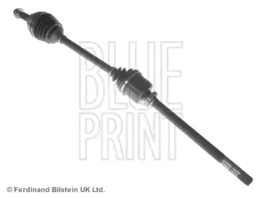blueprint-adz989504