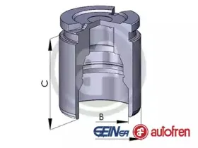 D025126 AUTOFREN SEINSA