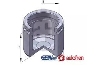 D02579 AUTOFREN SEINSA Поршень, корпус скобы тормоза