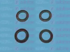 D11150 AUTOFREN SEINSA Ремкомплект, главный тормозной цилиндр