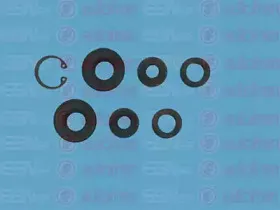 D1371 AUTOFREN SEINSA Ремкомплект, главный тормозной цилиндр