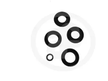 D1630 AUTOFREN SEINSA Ремкомплект, главный тормозной цилиндр