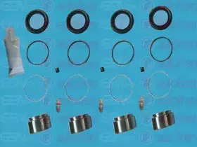 D41181C AUTOFREN SEINSA