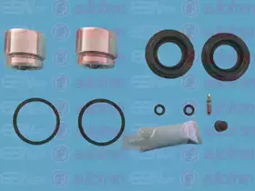 D41782C AUTOFREN SEINSA