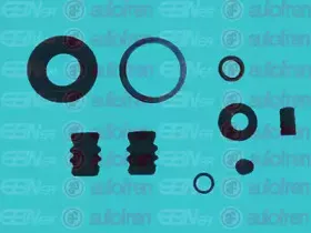 D41889 AUTOFREN SEINSA