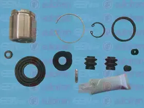D42120C AUTOFREN SEINSA