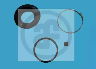 D4254 AUTOFREN SEINSA Ремкомплект, тормозной суппорт