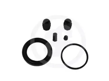 D4638 AUTOFREN SEINSA