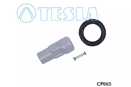 tesla-cp065