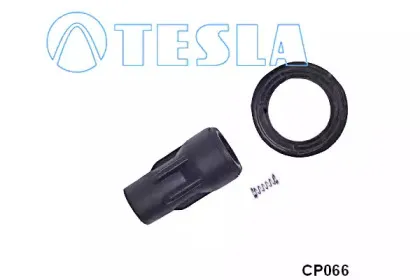 tesla-cp066