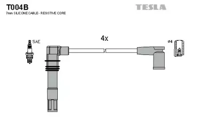 T004B TESLA