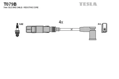 T079B TESLA