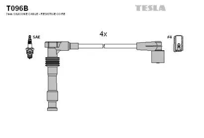 T096B TESLA