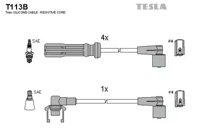T113B TESLA