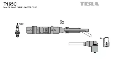 T165C TESLA