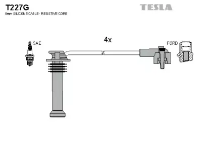 T227G TESLA