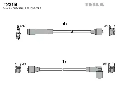 T231B TESLA