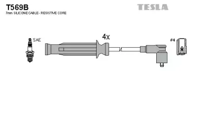 T569B TESLA